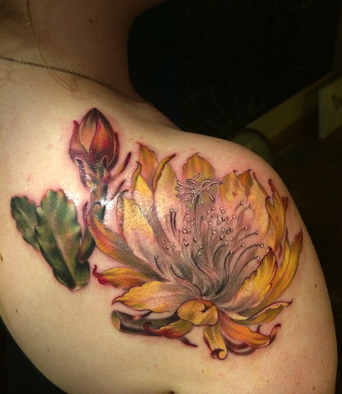 O que mais me chamou a atenção nas tatuagens feitas por Stephanie Brown é o estilo visual que me lembrou muito as ilustrações de antigos livros sobre a fauna e a flora do planeta. Os desenhos que ela faz permanentemente na pele de seus clientes me fez voltar a um tempo onde enciclopédias habitavam as prateleiras das casas e era lá que você aprenderia sobre os animais e as plantas. São ilustrações clássicas e atemporais que, espero, fiquem tão bem na pele das pessoas em 30 anos quanto hoje.