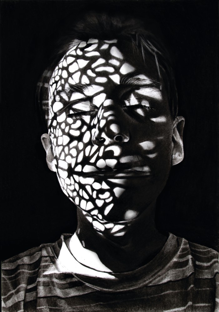 As ilustrações de Dylan Andrews experimentam com a forma de mostrar emoções sem precisar usar expressões faciais, no lugar disso, ele usa uma ênfase na manipulação de luzes e sombras para criar construções dramáticas e atmosferas intensas. Cada um dos retratos criados pelo artista com essa finalidade, acabam mostrando padrões sobrepostos, como se a pessoa que estivesse observando a obra estivesse no lugar de um objeto que está sendo refletido na ilustração. Cada retrato vem com uma máscara de sombras diferente e que, pode ou não, estar construindo ou obstruindo a identidade do retrato. 