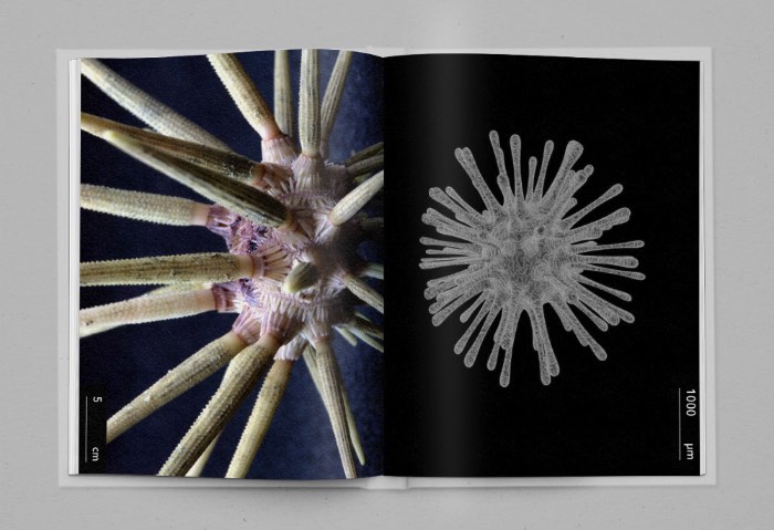É lá de Barcelona que a designer e diretora de arte Noelia Felip trabalha para criar as imagens que você pode ver aqui nesse post. E ela faz isso de seu estúdio, conhecido como No.9, onde dá para perceber uma enorme atenção aos detalhes e um interesse bem grande em tipografia e em experimentar com design gráfico.
