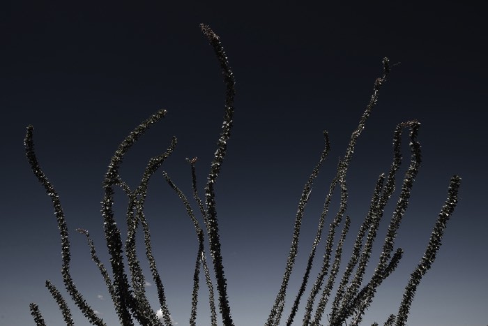 Já acompanho o trabalho de fotografia da Nydia Lilian no Behance tem alguns anos mas fiquei surpreso em saber que nunca publiquei nada dela por aqui. Para resolver isso, acabei selecionando algumas das imagens que ela tem em seu portfolio e acabei focando nas suas fotografias de paisagens.