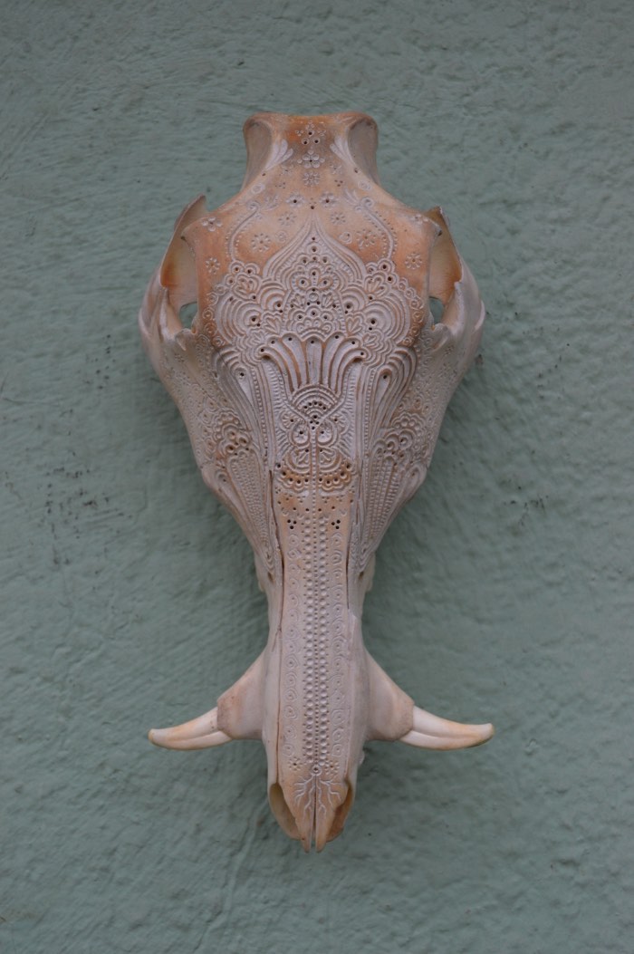 Jason Borders é um artista americano baseado em Portland cujo trabalho é feito usando carcaças de animais e usando de seus ossos como obras de arte. 