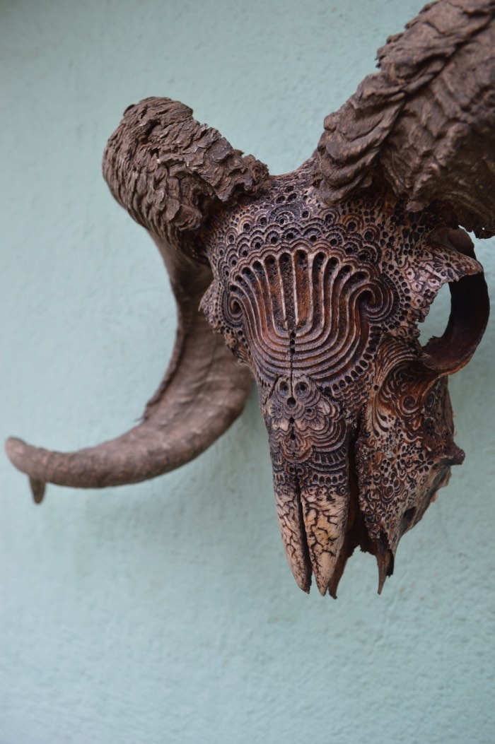 Jason Borders é um artista americano baseado em Portland cujo trabalho é feito usando carcaças de animais e usando de seus ossos como obras de arte. 