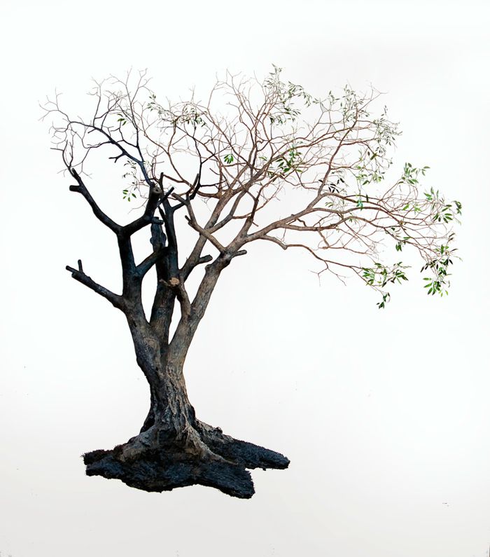 Jorge Mayet é um artista cubano que recria as paisagens de seu país através de pedaços de arame, papel e outros elementos. É assim que ele tenta formar sua cultura, suas raízes e sua identidade pessoal. E foi exatamente isso que chamou minha atenção no trabalho de escultura dele.