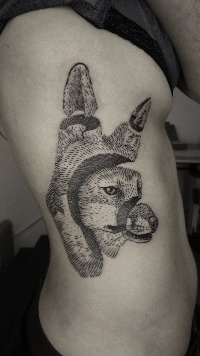 Algumas pessoas podem achar que tatuagens de animais em pedaços podem parecer um pouco macabras mas o trabalho de tatuagem de Ottorino D’Ambra não tem nada disso. E, ele seleciona animais como tema de seu trabalho por considerar que eles são mais próximos de nós do que pensamos. Então, quando ele os dilacera em suas ilustrações, ele quer apenas mostrar o que está escondido dentro deles. O que pode soar bem pesado mas, como pode ser visto nas imagens abaixo, não tem nada disso.