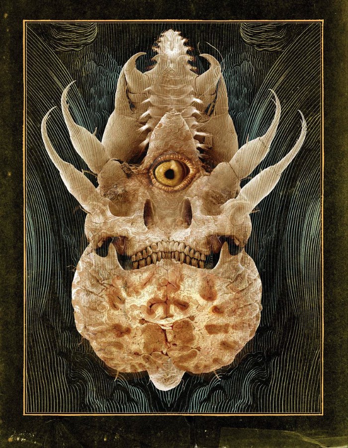 Bestiário é um tipo de literatura do mundo animal onde se descrevem as bestas. E foi isso que Ivica Stevanovic trouxe para os dias de hoje.