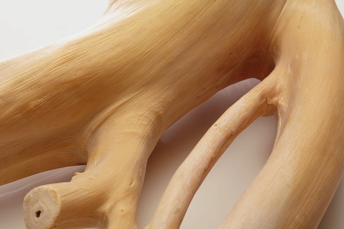 Romain Langlois é um artista contemporâneo auto-didata baseado em La Côte Martin, na França. É de lá que ele trabalha com esculturas que manipulam os elementos naturais. Esculturas essas que usam do bronze para questionar e alterar a percepção que temos da vida, da morte e do mundo ao nosso redor. O artista usado de métodos complexos para controlar a petrificação rápida e a cristalização de madeira e outros materiais e é assim que ele acaba alterando a forma com a qual vemos as coisas. 