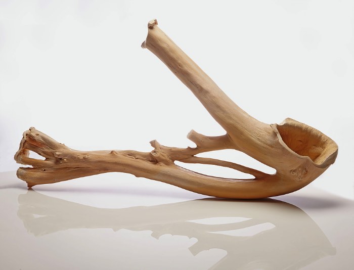 Romain Langlois é um artista contemporâneo auto-didata baseado em La Côte Martin, na França. É de lá que ele trabalha com esculturas que manipulam os elementos naturais. Esculturas essas que usam do bronze para questionar e alterar a percepção que temos da vida, da morte e do mundo ao nosso redor. O artista usado de métodos complexos para controlar a petrificação rápida e a cristalização de madeira e outros materiais e é assim que ele acaba alterando a forma com a qual vemos as coisas. 