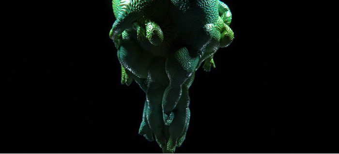 Diffusion é o nome dessa obra de arte em forma de vídeo criada pela diretor de arte japonês Kouhei Nakama. No video você pode observar como uma mulher é distorcida por padrões, formas e luzes de diferentes maneiras. Algo que me lembrou muito a forma com a qual alguns animais, como os polvos, se camuflam no seu ambiente.