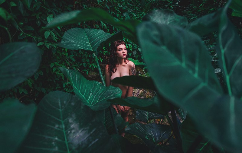 Foi em abril de 2015 que vi a primeira foto que Fernando Schlaepfer publicou com o tema #365nus. Depois disso, publiquei fotografias do projeto, não uma mas duas vezes e até entrevistei o fotógrafo sobre seu trabalho, as dificuldades desse projeto e como que é fotografar e publicar uma foto nova por dia.