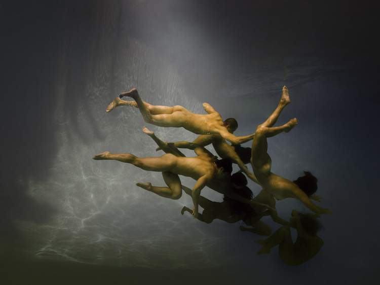 Nas fotos de Ed Freeman você consegue enxergar como ele usa do corpo humano na água para explorar paixão, sensualidade, movimento e sexualidade. Todos esses temas familiares a humanidade acabam sendo distorcidos um pouco pelo fato de serem apresentados de uma forma sub aquática. É assim que o fotógrafo consegue abrir seu trabalho para as nossas interpretações do que ele está fazendo. Abrindo espaço para enxergamos nossas fantasias e sonhos em seu trabalho.