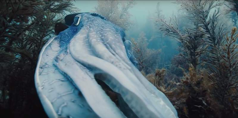 Voyage of Time está em produção há muito tempo. Não tanto tempo quanto o universo mas algo proporcional quando se trata de cinema americano. Tudo começou na década de setenta quando Terrence Malick começou a trabalhar em um filme chamado Q, que acabou sendo arquivado. Esse filme já tratava da criação dos cosmos e do universo e, deve ter sido ai que começou a jornada do diretor sobre o assunto. Algumas das cenas desse filme acabaram sendo usadas em Tree of Life, filme de 2011, e outras acabaram fazendo parte de Voyage of Time.
