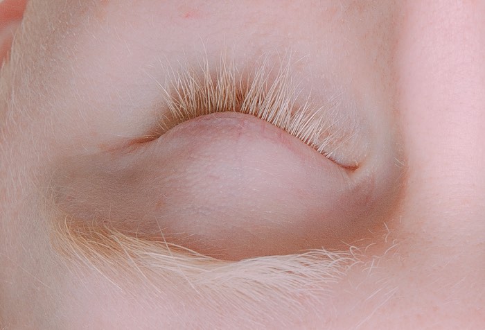 Steph Wilson é uma fotógrafa britânica, baseada em Londres, com um portfólio repleto de trabalhos bem interessantes para revistas como a Dazed, Vice, W Magazine. Sua fotografia tem pitadas de arte, moda e política e, acredito que, por isso mesmo, acaba sendo tão interessante navegar por tudo que ela já fez.