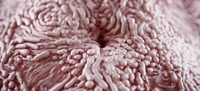 Cycle é uma animação criada pelo diretor de arte japonês Kouhei Nakama e foi feita usando uma grande variedade de processos de simulação de partículas para simular a forma humana. Dessa forma, o diretor acabou criando uma forma abstrata e fora do comum para explorar o corpo humano.