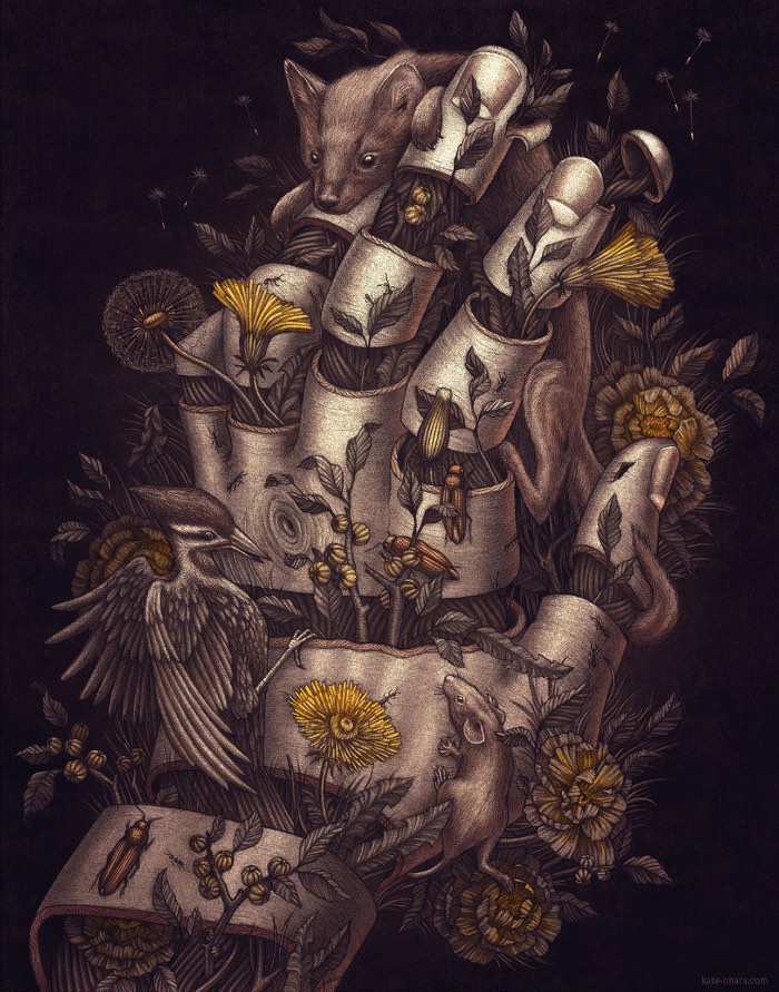Kate O'Hara é o nome da ilustradora cujos trabalhos você vai ver aqui. Seu portfólio é repleto de belíssimos exemplos de desenhos de animais que, várias vezes, se misturam com a natureza numa espécie de chamado selvagem que tem resultados visuais bem interessantes. Seus traços orgânicos e suas combinações de cores, somados aos temas que ela usa, fazem com que seu portfólio de ilustração seja um dos mais interessantes que vi nas últimas semanas. 