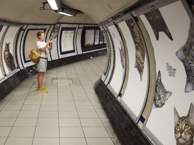 Imagine entrar em uma estação de metrô e ver que todos os anúncios foram substituídos por fotos de gatos. É isso que você vai ver se chegar na estação de Clapham Common, no sul de Londres. Tudo isso faz parte de um projeto do Citizens Advertising Takeover Service (CATS) que surgiu no Kickstarter no início de ano e acabou se tornando realidade.
