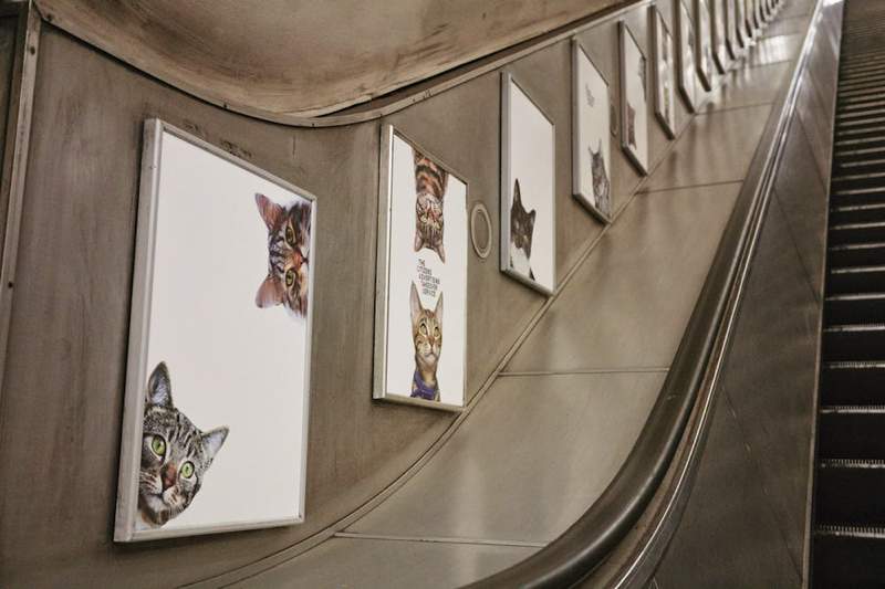 Imagine entrar em uma estação de metrô e ver que todos os anúncios foram substituídos por fotos de gatos. É isso que você vai ver se chegar na estação de Clapham Common, no sul de Londres. Tudo isso faz parte de um projeto do Citizens Advertising Takeover Service (CATS) que surgiu no Kickstarter no início de ano e acabou se tornando realidade.