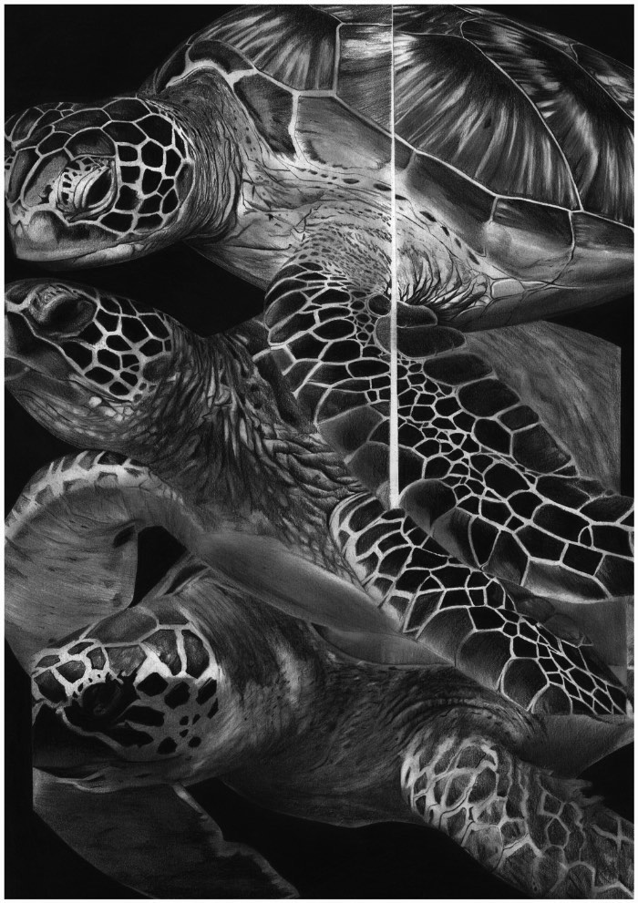 Éi Kaneko é um artista japonês que trabalha com ilustração usando de técnicas de colagem. Ele trabalha com imagens que já existem e usa da colagem para investigar a construção do espaço e da percepção visual enquanto cria uma narrativa completamente nova para a imagem.