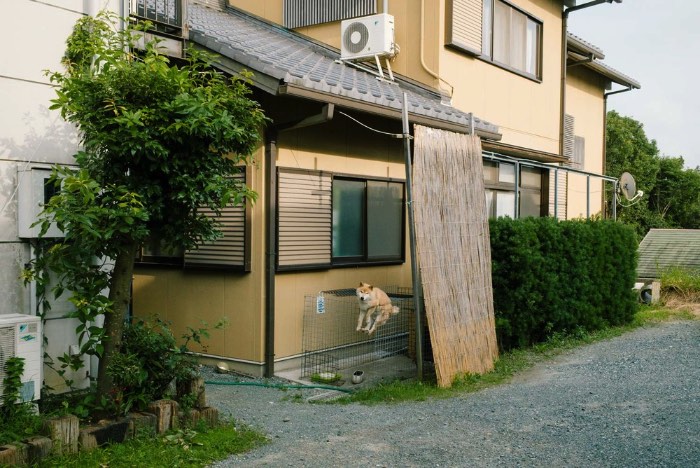 Em uma série de fotos chamada de Elimination Method, o fotógrafo japonês Mankichi Shinshi explora a solidão de indivíduos em fotografias espontâneas e em público. O que ele faz é que ele foca suas lentes em uma pessoa, um indivíduo no meio de um mundo de ações. 