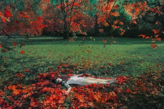 She DeTar cria mundos fantásticos com suas impressões fotográficas que removem tudo da realidade e transformam o mundo em algo etéreo e onírico. Ela faz isso usando de uma combinação de experimentalismo com um uso de cores bem fortes. Dessa forma ela captura a forma feminina com sua fotografia e a transforma em algo muito além com camadas e mais camadas de cores que dão uma texturas nova e adicionam elementos de fantasia a seu trabalho. 