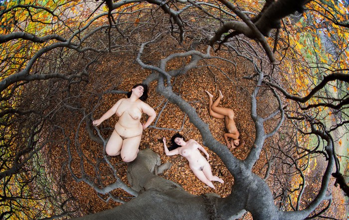 She DeTar cria mundos fantásticos com suas impressões fotográficas que removem tudo da realidade e transformam o mundo em algo etéreo e onírico. Ela faz isso usando de uma combinação de experimentalismo com um uso de cores bem fortes. Dessa forma ela captura a forma feminina com sua fotografia e a transforma em algo muito além com camadas e mais camadas de cores que dão uma texturas nova e adicionam elementos de fantasia a seu trabalho. 