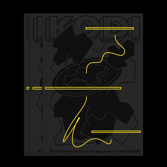 Anton Synytsia é um designer gráfico ucraniano que também trabalha produzindo uma série de festas de techno underground que são conhecidas como ??????. É ai que ele desenvolve seu melhor trabalho de design, repleto de um estilo bem experimental e uma tipografia bem interessante. 