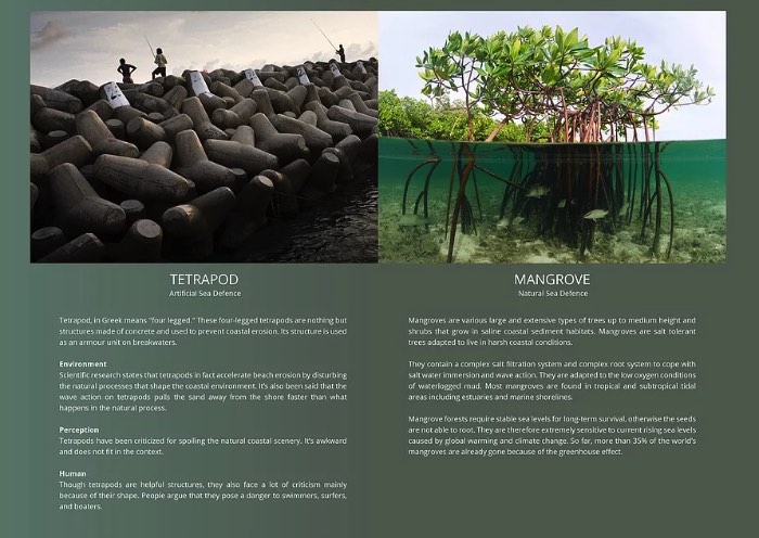 O TetraPot é uma estrutura de concreto feita para ajudar a impedir a erosão causada pelos força do mar nas costas do mundo. A ideia é usá-los para aumentar e preservar os mangues que costumavam cobrir grandes partes da área costeira do planeta.
