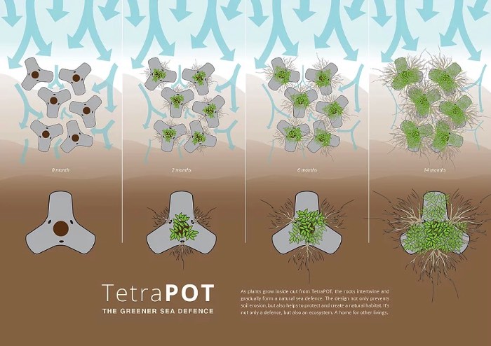 O TetraPot é uma estrutura de concreto feita para ajudar a impedir a erosão causada pelos força do mar nas costas do mundo. A ideia é usá-los para aumentar e preservar os mangues que costumavam cobrir grandes partes da área costeira do planeta.