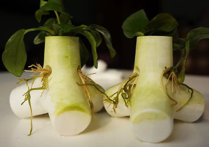 O TetraPot é uma estrutura de concreto feita para ajudar a impedir a erosão causada pelos força do mar nas costas do mundo. A ideia é usá-los para aumentar e preservar os mangues que costumavam cobrir grandes partes da área costeira do planeta.