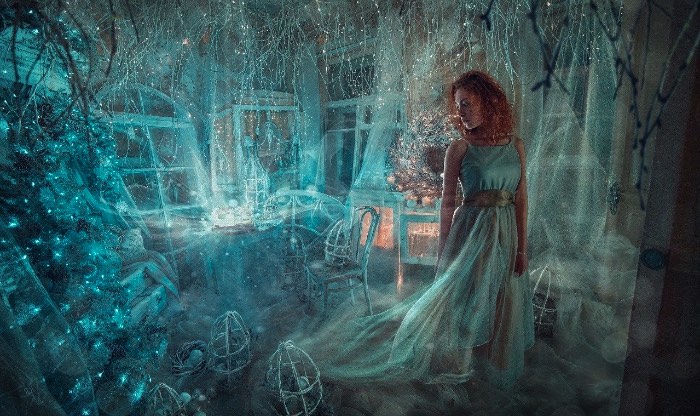 O artista Dmitry Rogozhkin cruza todas as fronteiras entre a realidade e a fantasia através das imagens que cria usando de todos seus conhecimentos de técnicas fotográficas. Imagens essas que seguem um conceito visual quase surreal, são iluminadas de forma cinemática e vem com retratos dramáticos que misturam um luxo decadente que se põe em contraste com ambientes em decomposição. 
