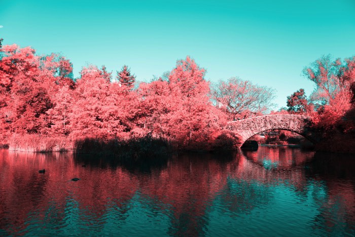 Fotografia Infravermelha de Nova Iorque por Paolo Pettigiani - Foi isso que Paolo Pettigiani fez nesse série de fotografias do Central Park em Nova Iorque. Ele usou de um filtro especial na frente das suas lentes para bloquear a luz visível e deixar apenas os outros espectros de luz visíveis. Dessa forma, as fotos que ele fez desse parque acabam mostrando plantas de um jeito bem estranho mas, o resto da paisagem, continua da mesma forma. Tijolos, água, asfalto e outras superfícies continuam iguais e todas as plantas estão vermelhas. Algo bem onírico, no meu ponto de vista.