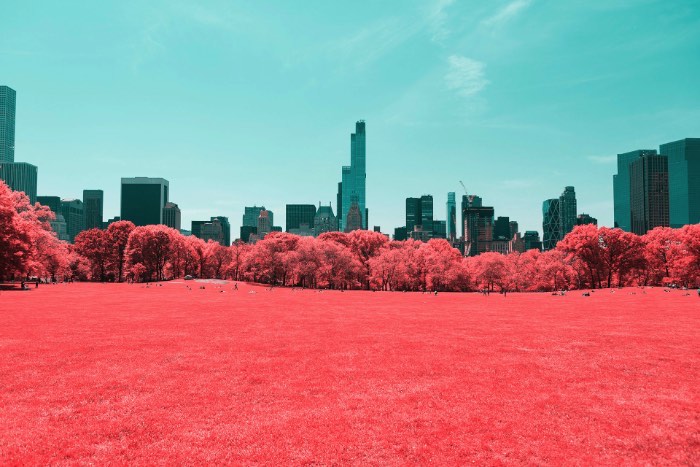 Fotografia Infravermelha de Nova Iorque por Paolo Pettigiani - Foi isso que Paolo Pettigiani fez nesse série de fotografias do Central Park em Nova Iorque. Ele usou de um filtro especial na frente das suas lentes para bloquear a luz visível e deixar apenas os outros espectros de luz visíveis. Dessa forma, as fotos que ele fez desse parque acabam mostrando plantas de um jeito bem estranho mas, o resto da paisagem, continua da mesma forma. Tijolos, água, asfalto e outras superfícies continuam iguais e todas as plantas estão vermelhas. Algo bem onírico, no meu ponto de vista.