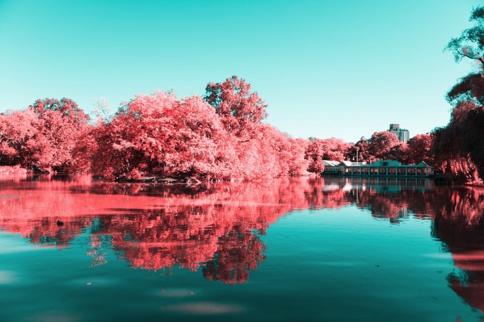 Fotografia Infravermelha de Nova Iorque por Paolo Pettigiani - Foi isso que Paolo Pettigiani fez nesse série de fotografias do Central Park em Nova Iorque. Ele usou de um filtro especial na frente das suas lentes para bloquear a luz visível e deixar apenas os outros espectros de luz visíveis. Dessa forma, as fotos que ele fez desse parque acabam mostrando plantas de um jeito bem estranho mas, o resto da paisagem, continua da mesma forma. Tijolos, água, asfalto e outras superfícies continuam iguais e todas as plantas estão vermelhas. Algo bem onírico, no meu ponto de vista.