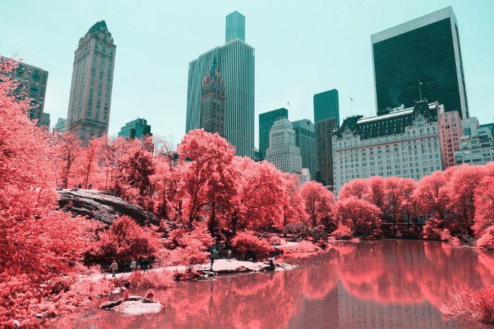 Fotografia Infravermelha de Nova Iorque por Paolo Pettigiani - Foi isso que Paolo Pettigiani fez nesse série de fotografias do Central Park em Nova Iorque. Ele usou de um filtro especial na frente das suas lentes para bloquear a luz visível e deixar apenas os outros espectros de luz visíveis. Dessa forma, as fotos que ele fez desse parque acabam mostrando plantas de um jeito bem estranho mas, o resto da paisagem, continua da mesma forma. Tijolos, água, asfalto e outras superfícies continuam iguais e todas as plantas estão vermelhas. Algo bem onírico, no meu ponto de vista.