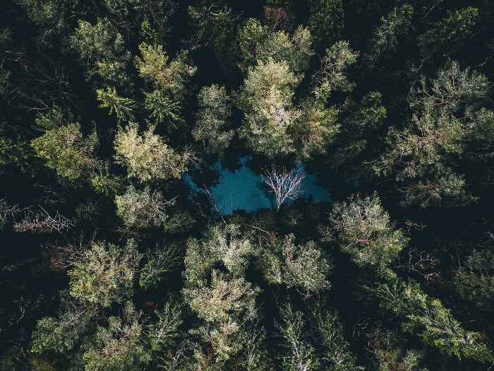 Tobias Hägg é o nome do fotógrafo sueco por trás da fotografia de drones do Airpixelsmedia. Seu trabalho começou há pouco tempo, quando ele criou uma conta no instagram. Foi assim que seu trabalho decolou e ele começou a viajar pelo mundo, fotografando tudo que ele estava vendo por ai. 