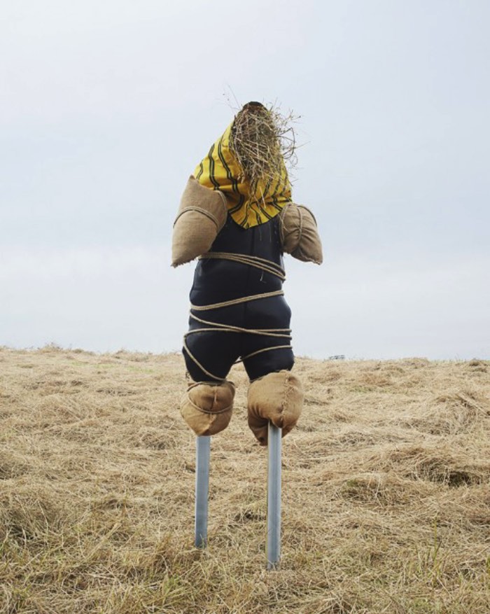 Scarecrows, Espantalhos em português, é uma série de fotografias onde Kate Fichard explora essa tradição que anda se perdendo com os avanços tecnológicos dos dias de hoje. Criado em colaboração com o artista plástico Hugo Deniau, as fotografias aqui surgiram da percepção que a tradição de observação de animais anda desaparecendo na França. Foi assim que tudo começou para Kate Fichard.