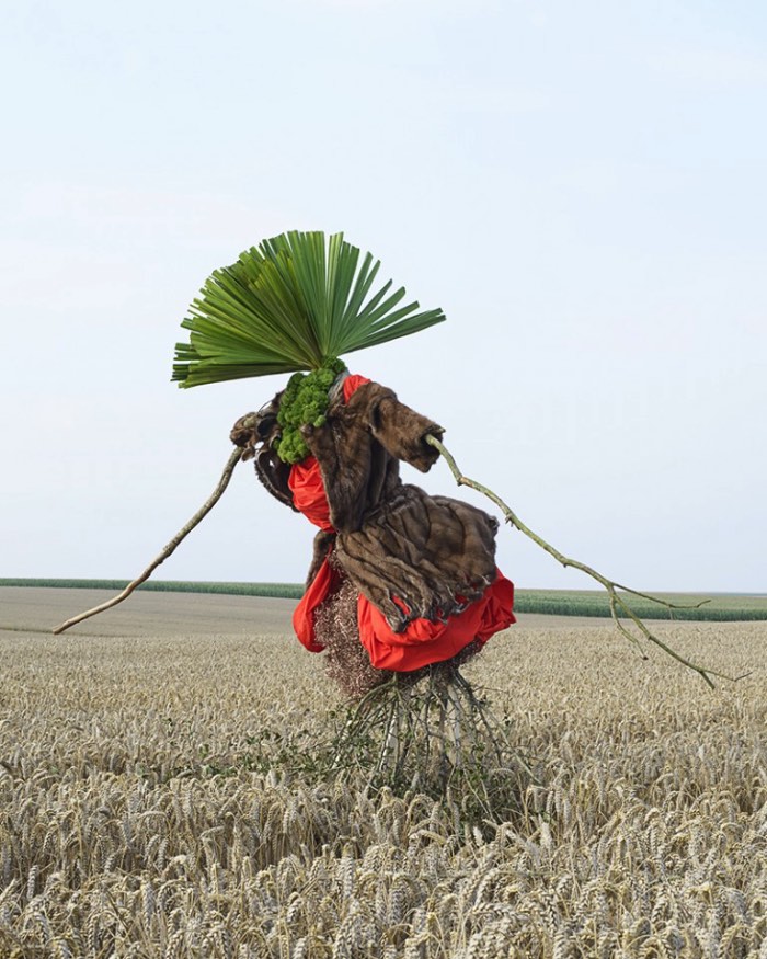 Scarecrows, Espantalhos em português, é uma série de fotografias onde Kate Fichard explora essa tradição que anda se perdendo com os avanços tecnológicos dos dias de hoje. Criado em colaboração com o artista plástico Hugo Deniau, as fotografias aqui surgiram da percepção que a tradição de observação de animais anda desaparecendo na França. Foi assim que tudo começou para Kate Fichard.