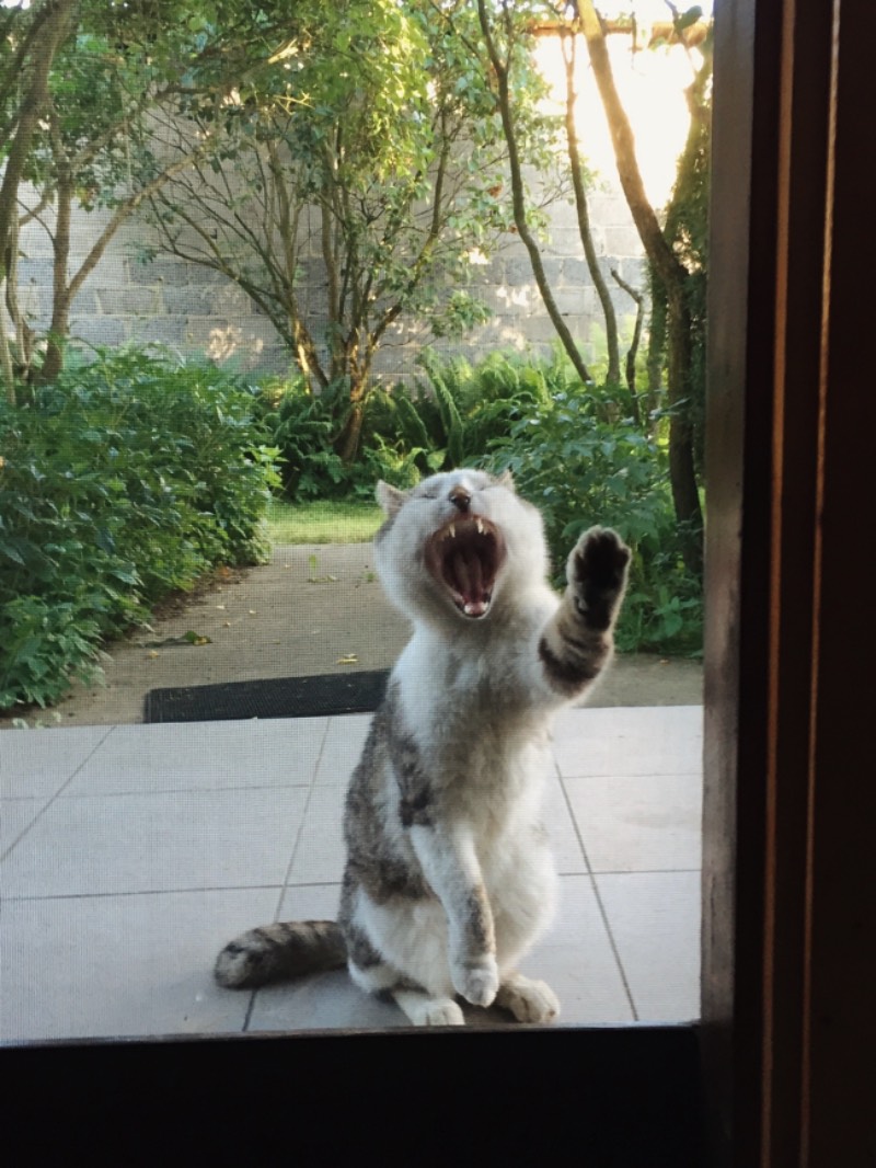 Foi no Tumblr que ele encontrou um sucesso inesperado. Lá, a fotografia de Tomasz Margol atingiu um público enorme e seu blog acabou sendo escolhido como um dos mais interessantes da plataforma pela equipe do Tumblr. Um título que não é todo mundo que pode dizer que tem já que são mais de 300 milhões de blog por lá. Ser escolhido assim não é algo muito simples e ajudou muito na distribuição do seu trabalho. 