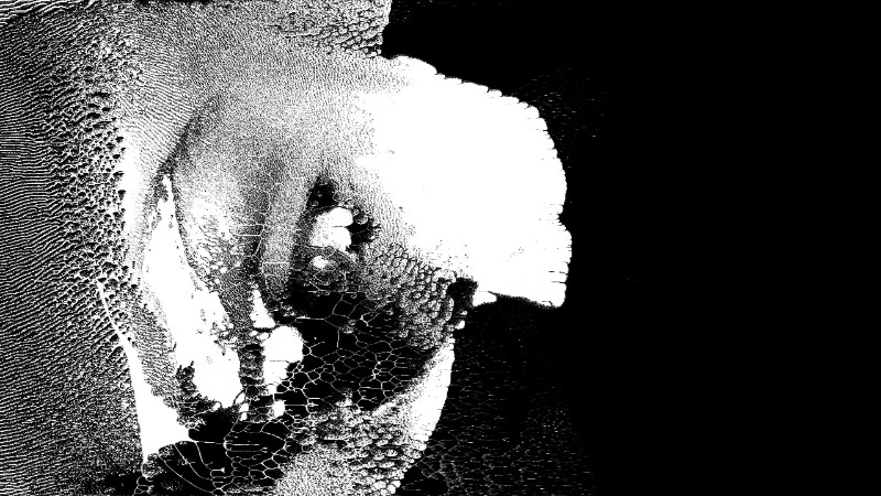 Denial of Service é como é conhecido o artista visual Palmer Eldritch e Onryo é sua mais nova criação. Em Onryo você vai ver como o artista mistura e combina um caos tecnológico nor que mistura sequências de reação e difusão criadas através de Max/Jitter, cortesia de Paul Fennell.