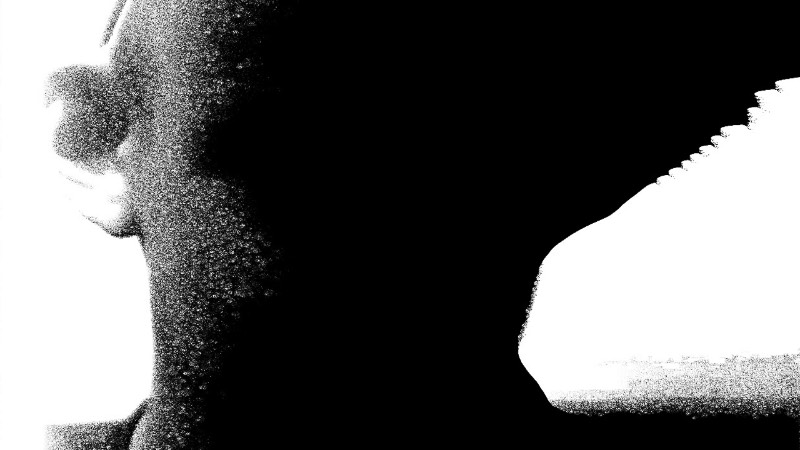 Denial of Service é como é conhecido o artista visual Palmer Eldritch e Onryo é sua mais nova criação. Em Onryo você vai ver como o artista mistura e combina um caos tecnológico nor que mistura sequências de reação e difusão criadas através de Max/Jitter, cortesia de Paul Fennell.