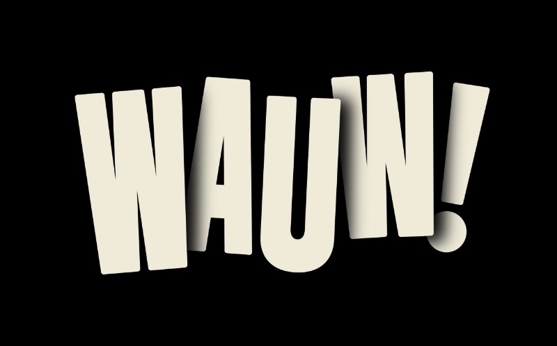 O pessoal da Snask sempre teve vontade de produzir o próprio sorvete e eles fizeram isso com o Wauw! Afinal, todo mundo gosta de tomar sorvete assistindo filmes no Netflix. Foi pensando nisso que eles entraram em contato com algumas marcas e apresentando algumas ideias de novos sabores que, mesmo sem açúcar, teriam um sabor superior e nada tedioso. 