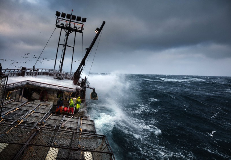 Corey Arnold é um fotógrafo que trabalhou muitos anos como pescador nas águas frias do Alaska. Foram nas águas escuras do Estreito de Bering que ele criou seu projeto chamado Aleutian Dreams, onde ele documenta a vida e o trabalho nesse local distante do resto do mundo. Lá, você vê raposas, águias e todos aqueles pássaros que querem se alimentar da difícil pesca que acontece em um cenário tão especial quanto esse.