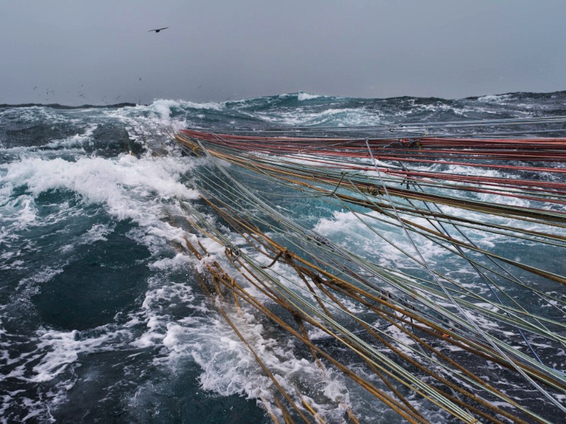 Corey Arnold é um fotógrafo que trabalhou muitos anos como pescador nas águas frias do Alaska. Foram nas águas escuras do Estreito de Bering que ele criou seu projeto chamado Aleutian Dreams, onde ele documenta a vida e o trabalho nesse local distante do resto do mundo. Lá, você vê raposas, águias e todos aqueles pássaros que querem se alimentar da difícil pesca que acontece em um cenário tão especial quanto esse.
