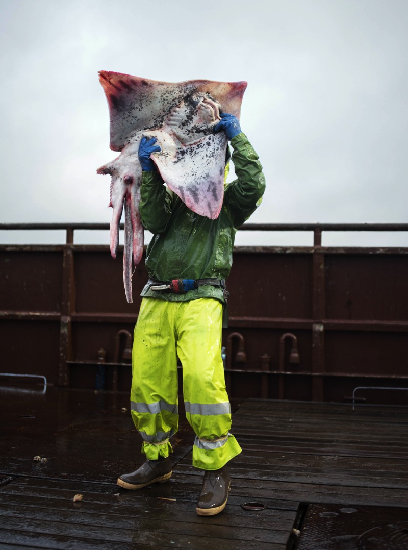 Corey Arnold é um fotógrafo que trabalhou muitos anos como pescador nas águas frias do Alaska. Foram nas águas escuras do Estreito de Bering que ele criou seu projeto chamado Aleutian Dreams, onde ele documenta a vida e o trabalho nesse local distante do resto do mundo. Lá, você vê raposas, águias e todos aqueles pássaros que querem se alimentar da difícil pesca que acontece em um cenário tão especial quanto esse.