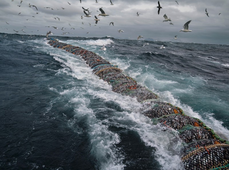 Corey Arnold é um fotógrafo que trabalhou muitos anos como pescador nas águas frias do Alaska. Foram nas águas escuras do Estreito de Bering que ele criou seu projeto chamado Aleutian Dreams, onde ele documenta a vida e o trabalho nesse local distante do resto do mundo. Lá, você vê raposas, águias e todos aqueles pássaros que querem se alimentar da difícil pesca que acontece em um cenário tão especial quanto esse.