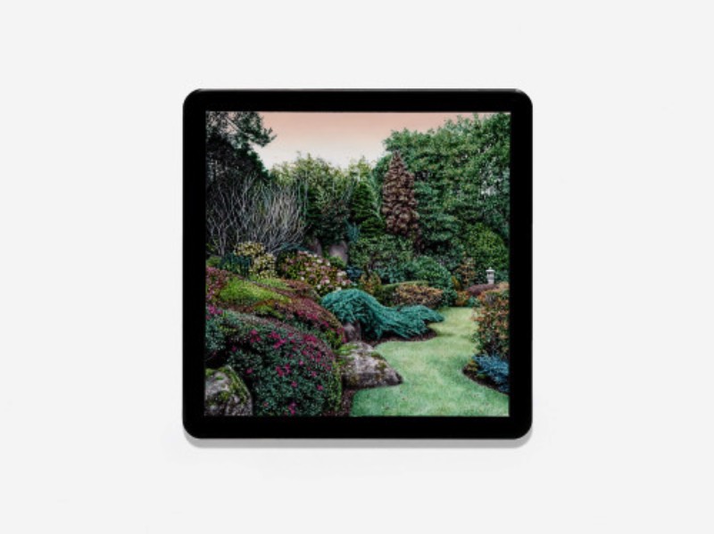 A forma com a qual a artista Natasha Bieniek explora suas pinturas de paisagens é alimentada pelo seu interesse nas formas com as quais nós, seres humanos, nos relacionamos com o mundo natural. Mais especificamente, na forma com a qual nossa presença na Terra causa um impacto no ambiente natural através do nosso mundo urbano. 