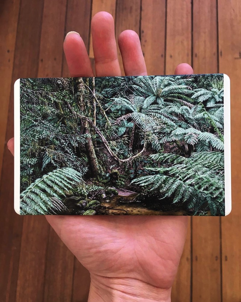 A forma com a qual a artista Natasha Bieniek explora suas pinturas de paisagens é alimentada pelo seu interesse nas formas com as quais nós, seres humanos, nos relacionamos com o mundo natural. Mais especificamente, na forma com a qual nossa presença na Terra causa um impacto no ambiente natural através do nosso mundo urbano. 