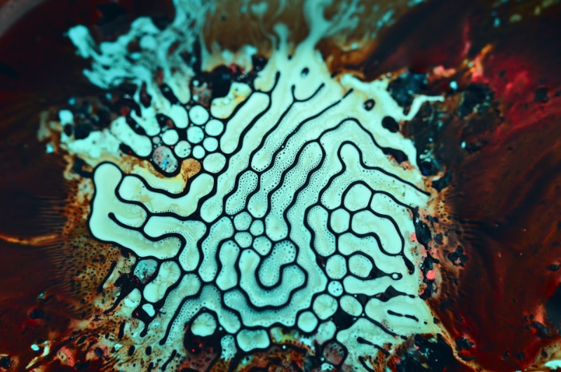 A paixão que o designer Eric Bellefeuille tem por padrões acabou evoluindo para um projeto fotográfico mais do que maravilhoso. Nos últimos dez anos, esse designer canadense vem trabalhando com o desenvolvimento de fractais por computadores e como esses sistemas de padrões visuais podem funcionar na vida real. Para simular o que ele estava estudando digitalmente, ele começou a brincar com tinta acrílica e como a química da mesma mudava constantemente dentro de um balde de água. Foi assim ele evoluiu seus experimentos para fluxos metálicos e acabou chegando nas belíssimas imagens que você pode ver aqui.