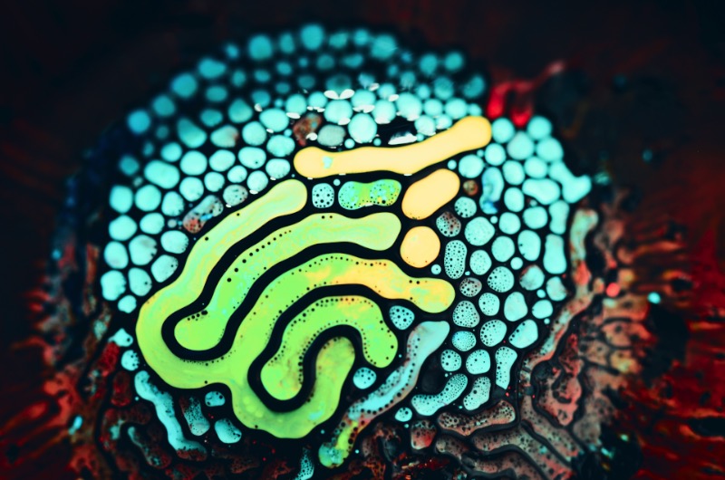 A paixão que o designer Eric Bellefeuille tem por padrões acabou evoluindo para um projeto fotográfico mais do que maravilhoso. Nos últimos dez anos, esse designer canadense vem trabalhando com o desenvolvimento de fractais por computadores e como esses sistemas de padrões visuais podem funcionar na vida real. Para simular o que ele estava estudando digitalmente, ele começou a brincar com tinta acrílica e como a química da mesma mudava constantemente dentro de um balde de água. Foi assim ele evoluiu seus experimentos para fluxos metálicos e acabou chegando nas belíssimas imagens que você pode ver aqui.