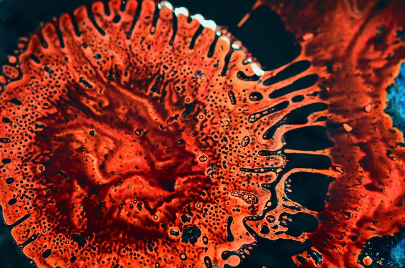 A paixão que o designer Eric Bellefeuille tem por padrões acabou evoluindo para um projeto fotográfico mais do que maravilhoso. Nos últimos dez anos, esse designer canadense vem trabalhando com o desenvolvimento de fractais por computadores e como esses sistemas de padrões visuais podem funcionar na vida real. Para simular o que ele estava estudando digitalmente, ele começou a brincar com tinta acrílica e como a química da mesma mudava constantemente dentro de um balde de água. Foi assim ele evoluiu seus experimentos para fluxos metálicos e acabou chegando nas belíssimas imagens que você pode ver aqui.
