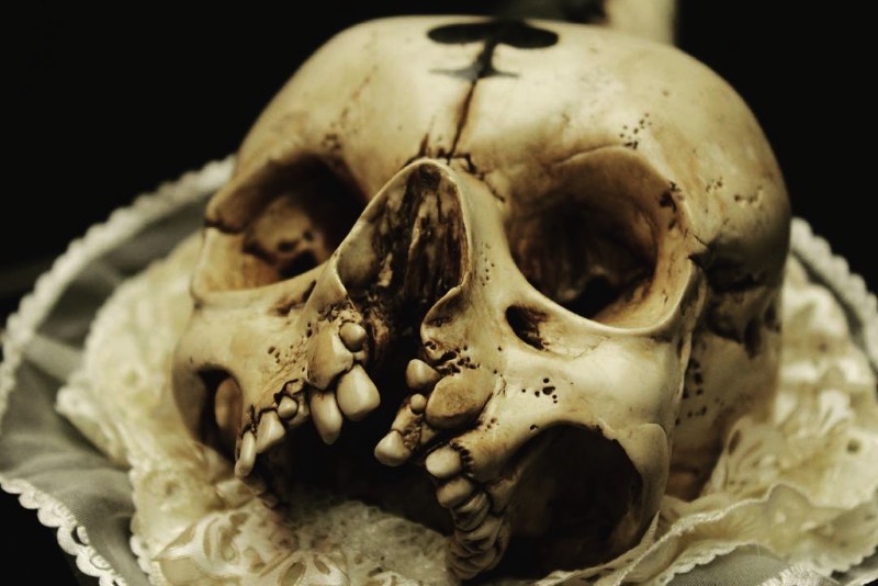 As esculturas de Emil Melmoth retratam uma mistura de niilismo, existencialismo e pessimismo através de questionamentos da nossa transcendência pela morte. É isso que eu enxergo nas estranhas esculturas anatômicas feitas de cera que eu me deparei no Instagram desse artista sombrio. Algumas de suas esculturas parecem meditar sobre a fragilidade do ser humano, outras parecem identificar a efemeridade da vida e olham para lugar nenhum enquanto isso.